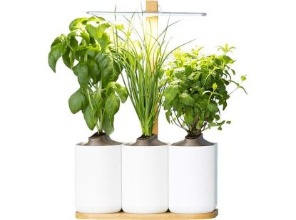 Bild von LED Indoor-Mini-Garten-Set "Lilo"