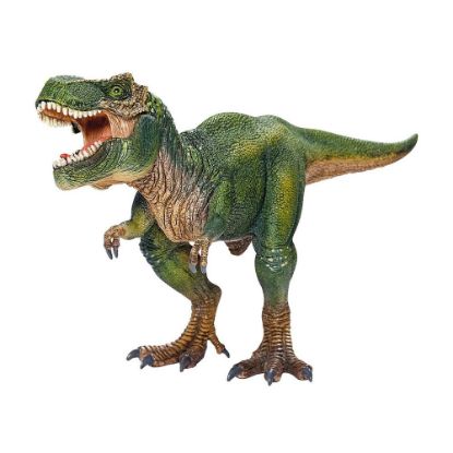 Bild von Dinosaurier "Tyrannosaurus Rex"