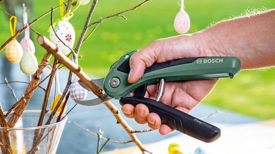 Bild von Gartenschere "EasyPrune"