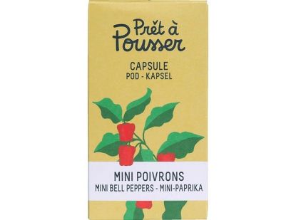 Bild von Samenkapsel: Rote Mini-Paprika