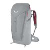 Bild von Rucksack "Alp Mate", 30L, alloy