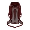 Bild von Rucksack "Alp Mate", 30L, syrah