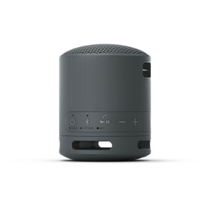 Bild von BTLautsprecher "SRS-XB100", schwarz