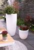 Bild von Leuchtkübel "Shining Curvy Pot", XL