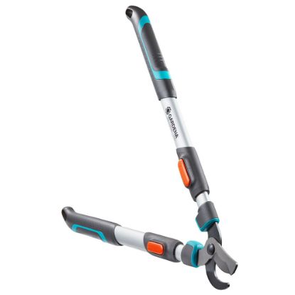 Bild von Astschere "TeleCut 650- 900 B 12009-20"