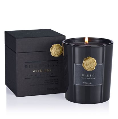 Bild von Edle Duftkerze "Wild Fig" 360 g