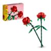 Bild von Rosen "Creator"