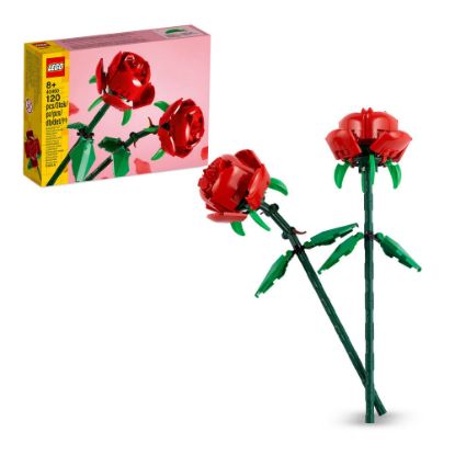 Bild von Rosen "Creator"