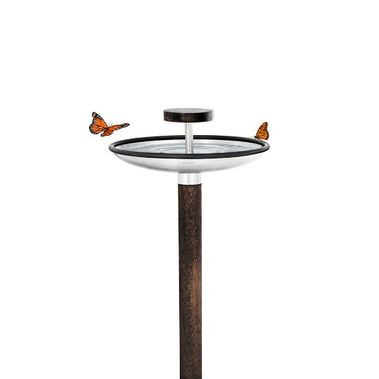 Bild von Vogel-Rastplatz "Fuera"