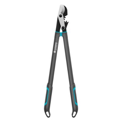 Bild von Astschere "EnergyCut Pro L"