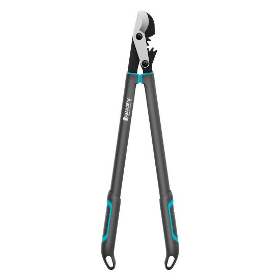 Bild von Astschere "EnergyCut Pro L"