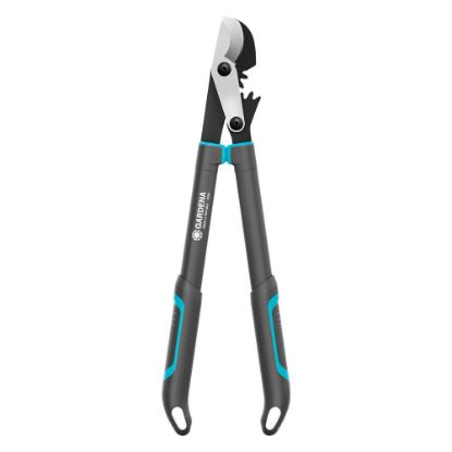 Bild von Astschere "EnergyCut Pro S"