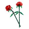 Bild von Rosen "Creator"