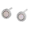 Bild von Ohrstecker "Shiny Circles", Silber