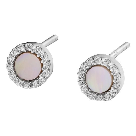 Bild von Ohrstecker "Shiny Circles", Silber