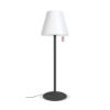 Bild von Stehlampe "Edison the Giant", anthracite
