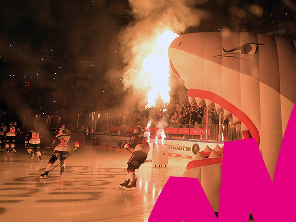 Eishockey-Highlight: Kölner Haie empfangen Dresdner Eislöwen