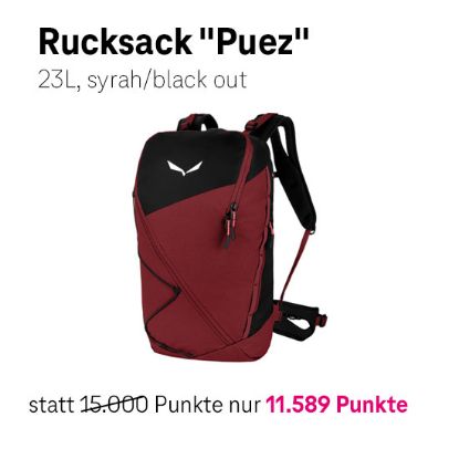 Bild von SALEWA Wanderrucksack - Puez 23L