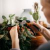 Bild von Bypass-Gartenschere "Solid P121"