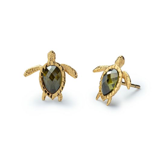 Bild von Ohrstecker "Turtle", gold