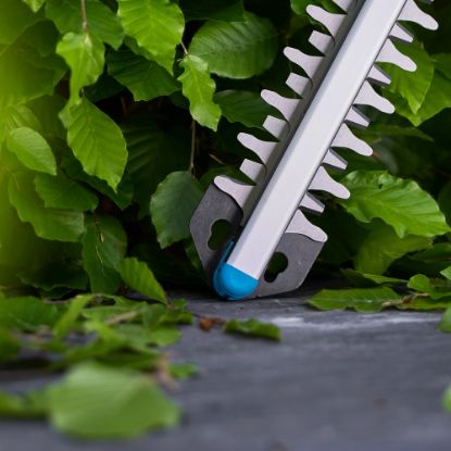 Bild von Akku-Heckenschere "EasyCut 55/18V P4A Ready-To-Use"