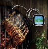 Bild von BBQ Digitales Bratenthermometer