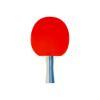 Bild von Tischtennis-Set komplett