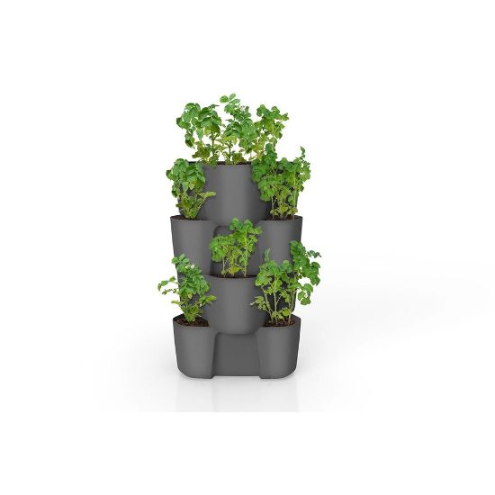 Bild von Kartoffeltopf "Not Only", Pflanztopf 4 Stück, Länge 61 cm