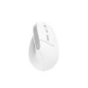 Bild von Ergonomic Wireless Mouse "Bayo II"