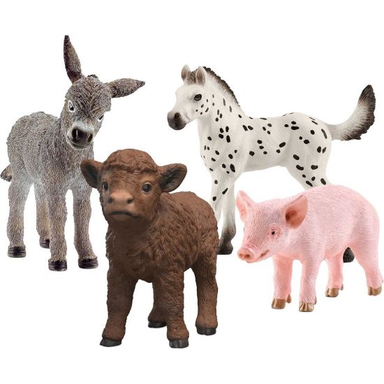 Bild von Bauernhof Babys